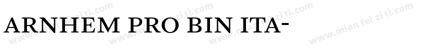 arnhem pro bin ita字体转换